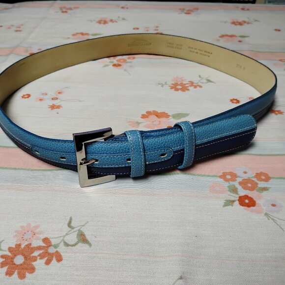 ❤️Womens LONGCHAMP PARIS Blue / Silver Buckle Belt Size M 30-34 main image 5